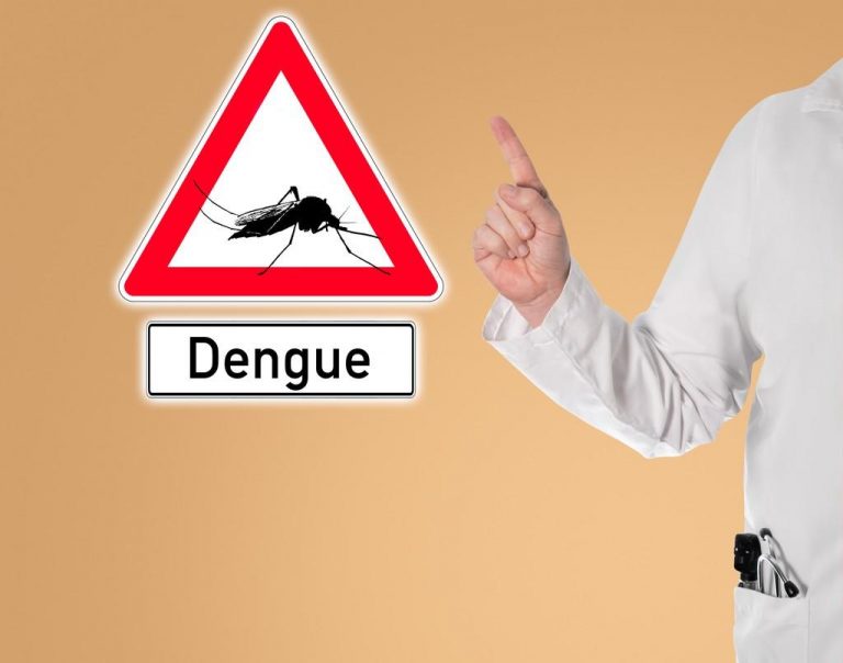 Dengue : les pays les plus à risque