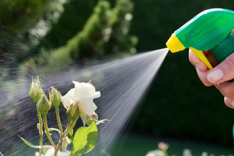 Herbicides : les dangers auxquels vous vous exposez