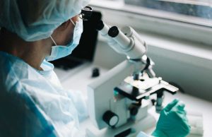 Des chercheurs découvrent l’existence d’un nouvel organe