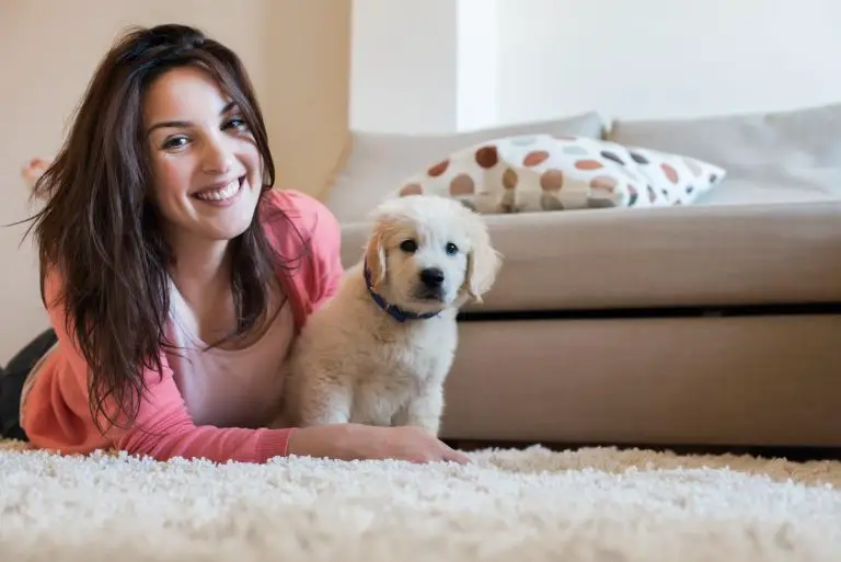 Embrasser son animal de compagnie, dangereux pour la santé