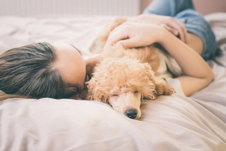 Dormir avec votre chien a des effets bénéfiques sur votre sommeil !