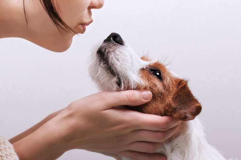 Son chien lui détecte un cancer des ovaires…avant le scanner des médecins