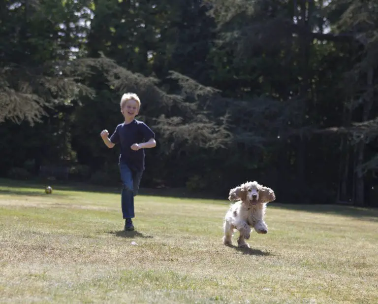 Héros à 6 ans : défiguré par un chien pour sauver sa sœur