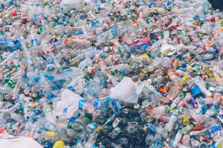 Vos organes pourraient contenir des microparticules de plastique