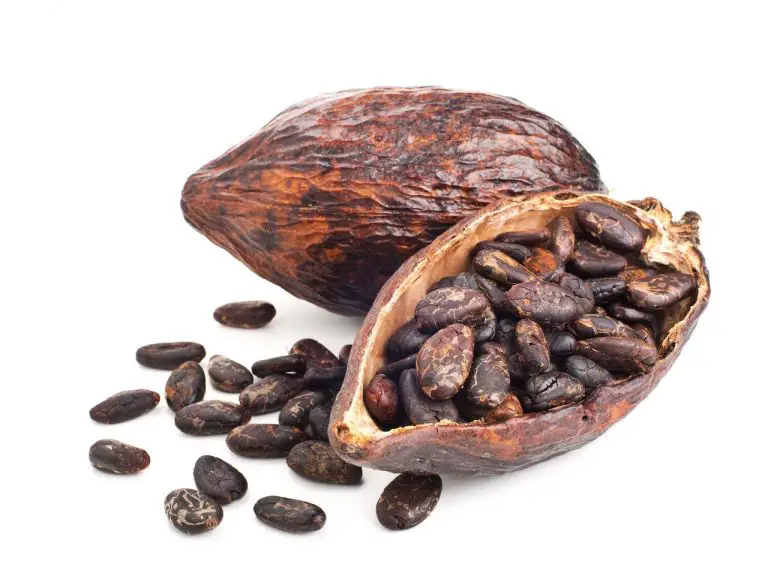 Pourquoi le cacao pourrait être bon pour votre mémoire