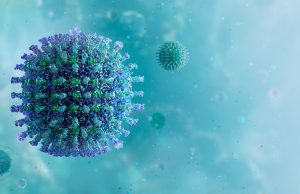 Covid-19 : où sont les nouveaux variants ?