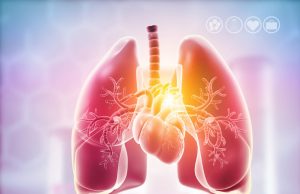 Les cellules reviennent à la vie une heure après la mort